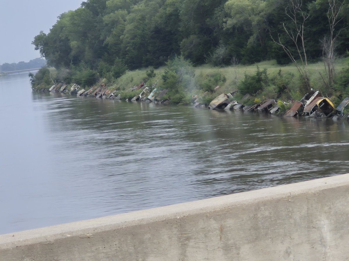 Todd Moore tweet media