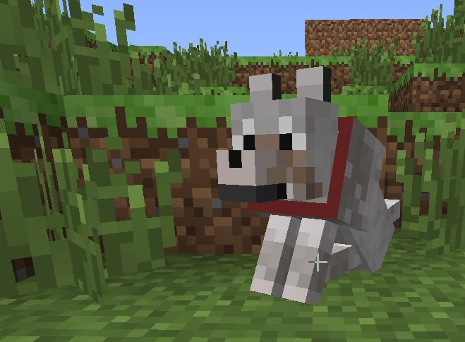 katzcrave's tweet photo. 🚨BREAKING NEWS 🚨

Yoonchae has accidentally hit Lara's Minecraft dog, causing Lara's dog to attack Yoonchae, sending her back to spawn. 

Yoonchae has lost all her inventory as a result of this. https://t.co/Gu0S3y0pBl