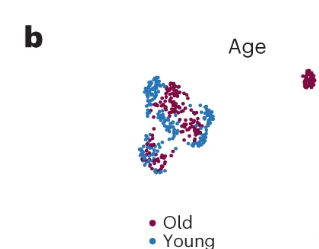 José Luis Ricón Fernández de la Puente tweet media