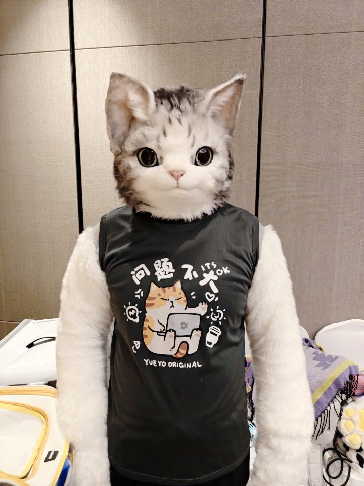 IAM_CAT_M's tweet photo. 发一下写实猫猫 https://t.co/iEpVLmGW0W