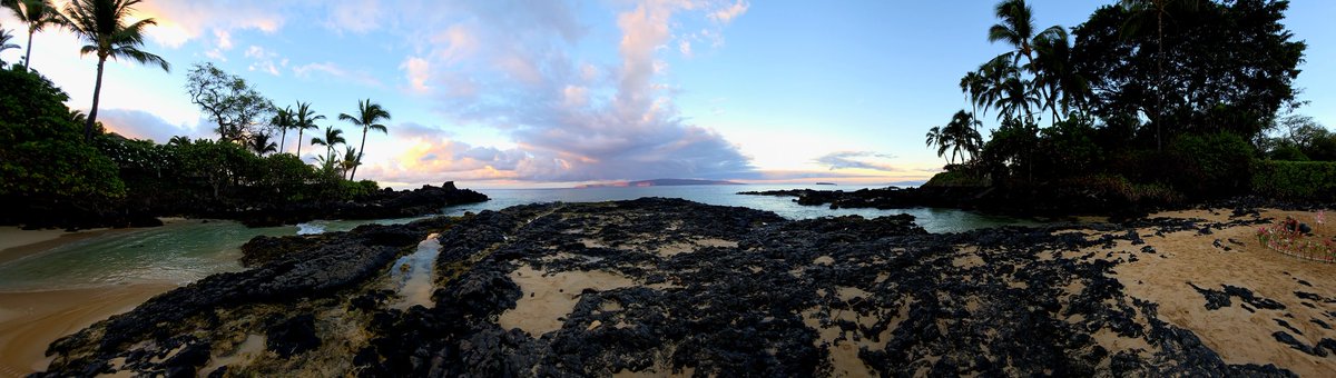 BuyTheDips tweet media