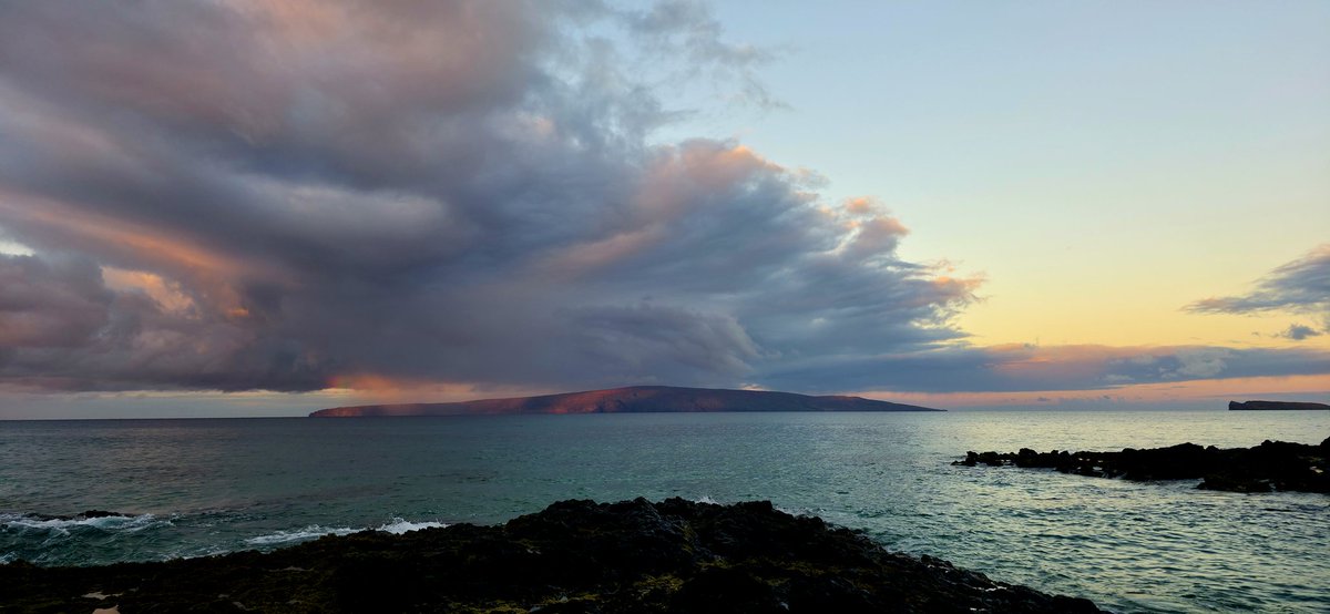 BuyTheDips tweet media