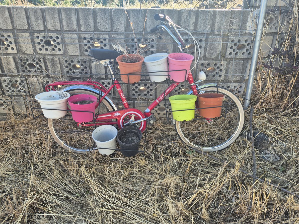 Nacho Bustar tweet media