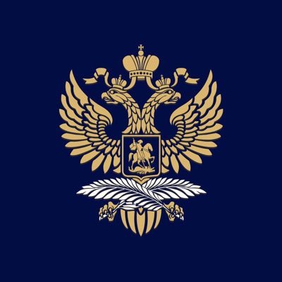 Russia in Ireland tweet media