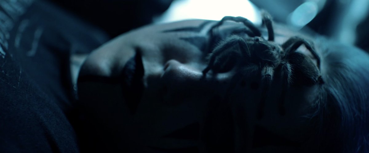 Black Satellite tweet media