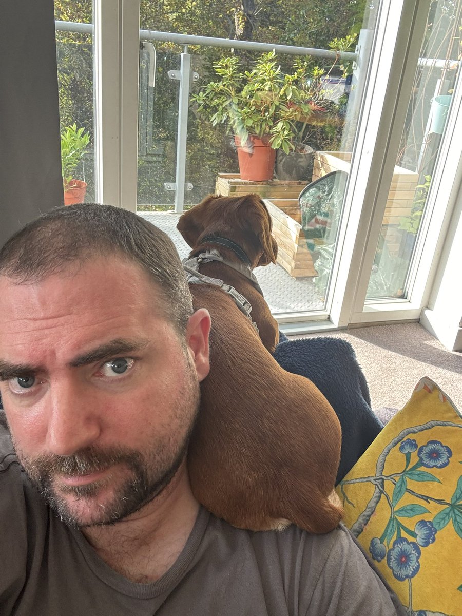 PedanticCoder's tweet image. My parrot  for the day 🦜