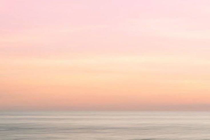 Princess Saint-Mleux, 💗🌳