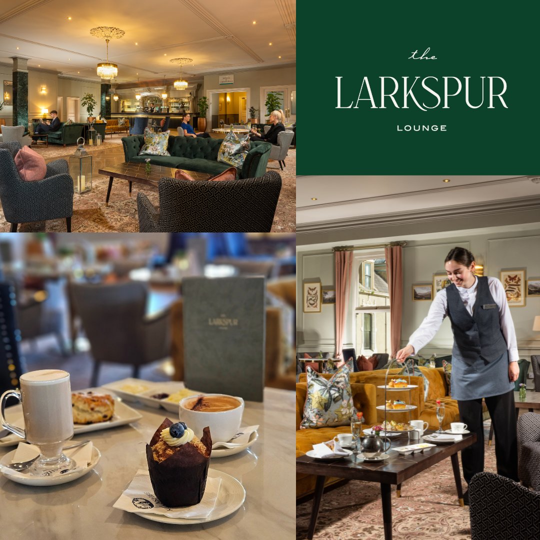killasheehotel's tweet image. ☕📚 Back to school means back to you time. After the morning drop off, treat yourself to a latte, a sweet bite, and a well-deserved catchup in the Larkspur Lounge!

#Killashee #Coffee #MumTime #SweetTreat #BackToSchoolBliss #Naas #Kildare