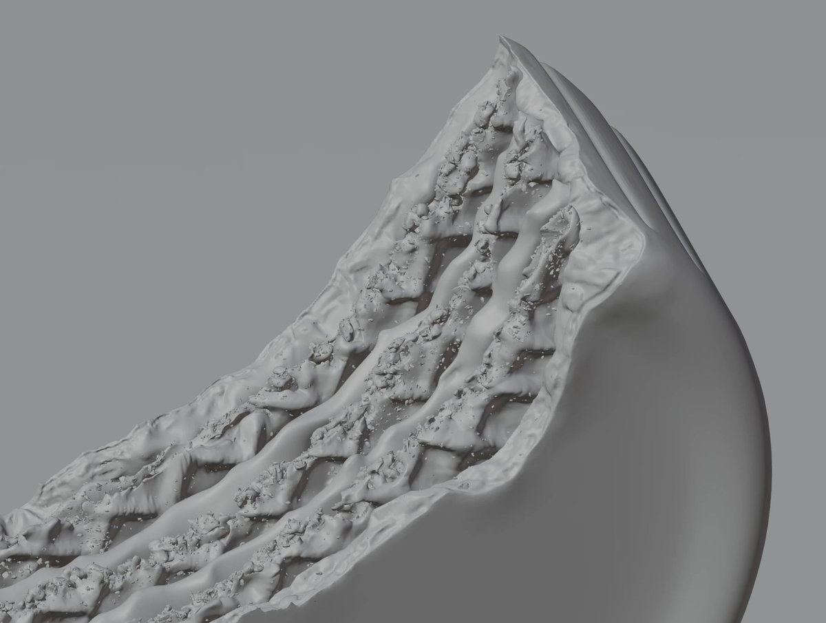 Thomas Marcos tweet media