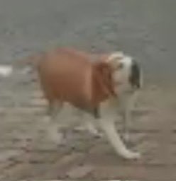 <a href="/lidolmix/">AARON</a> if you're with let me see your hands stand up and sALute