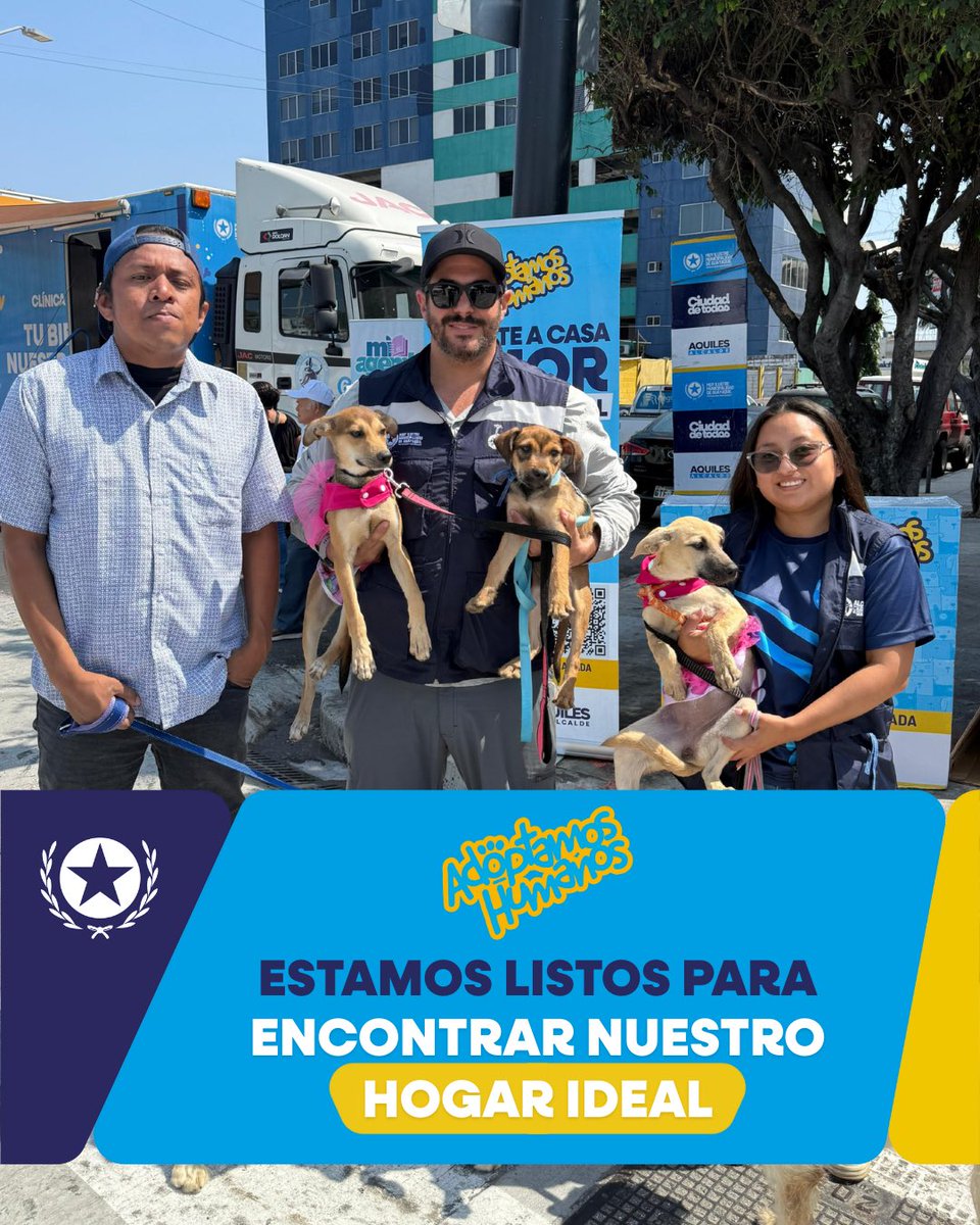 Proanimal_gye's tweet photo. ✨ ¡Ven y encuentra el amor! ✨🐾
Este fin de semana nuestros peluditos están ¡adoptando humanos! 🩵
🐶 🐱Jornada de adopciones.
Dales la oportunidad de cambiar tu vida y la suya 🐾
Anímate a ADOPTAR, #NOCOMPRES
#ConstruyendoLaCiudadDeTodos #ProAnimal #Guayaquil https://t.co/MNjB3eMQuc