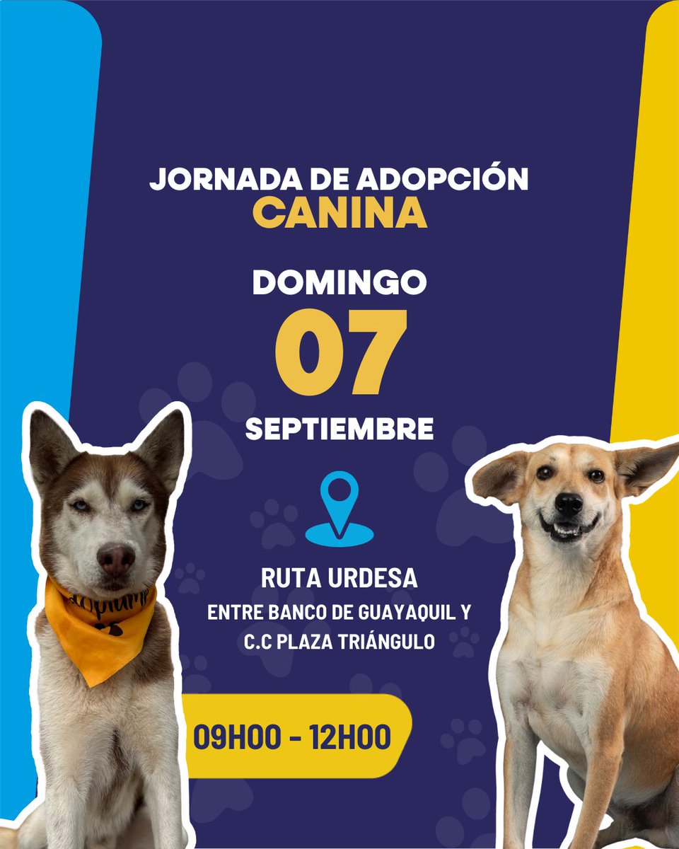 Proanimal_gye's tweet photo. ✨ ¡Ven y encuentra el amor! ✨🐾
Este fin de semana nuestros peluditos están ¡adoptando humanos! 🩵
🐶 🐱Jornada de adopciones.
Dales la oportunidad de cambiar tu vida y la suya 🐾
Anímate a ADOPTAR, #NOCOMPRES
#ConstruyendoLaCiudadDeTodos #ProAnimal #Guayaquil https://t.co/MNjB3eMQuc
