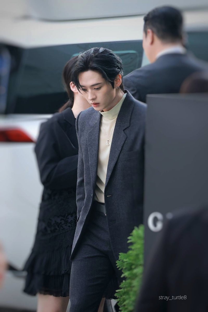 ˢᵗʳᵃʸ ᵗᵘʳᵗˡᵉ tweet media