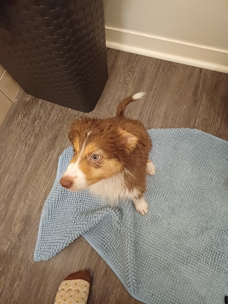 La petite douche d'Atlas 🥰🥰