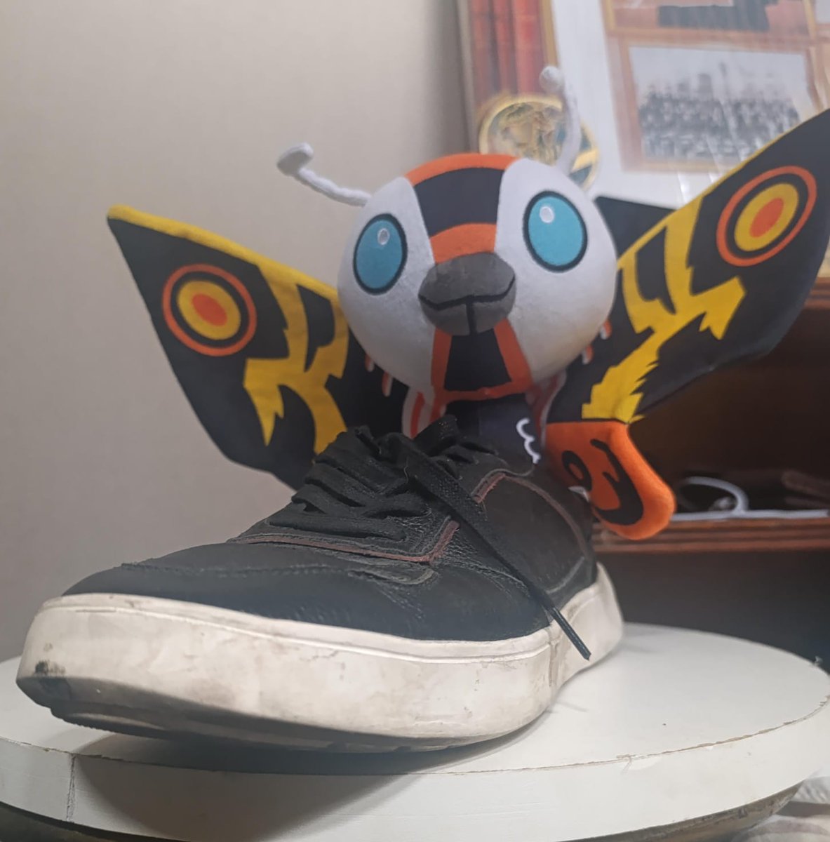 Hola 
#mothra