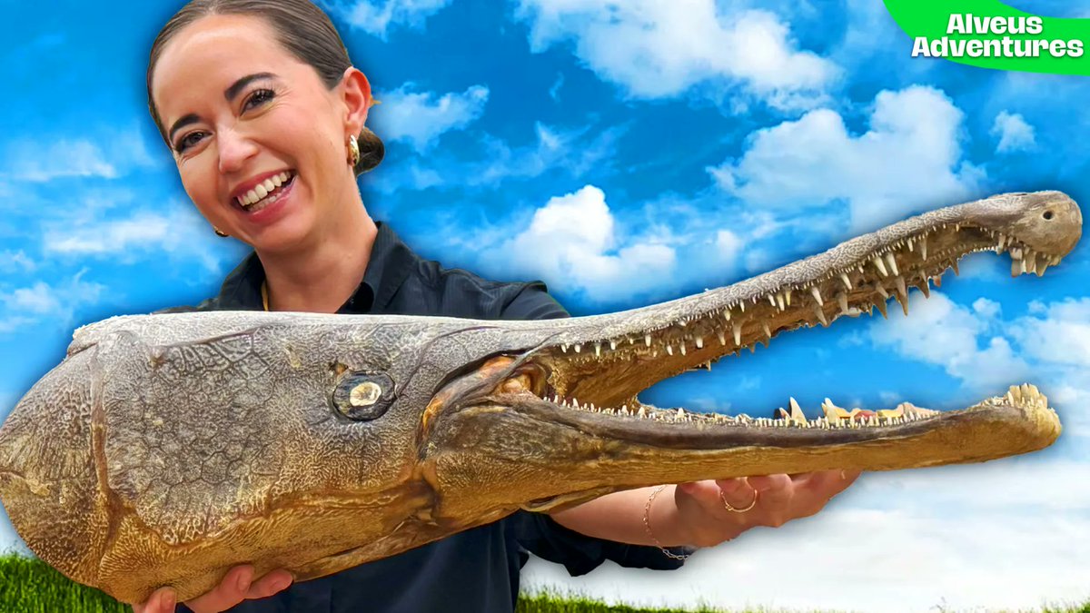 EPISODE 1 OF ALVEUS ADVENTURES IS PREMIERING NOW!!!

"The World's Oldest Fish" - Visiting <a href="/TheGarLab/">GarLab</a> 

Go watch :)))