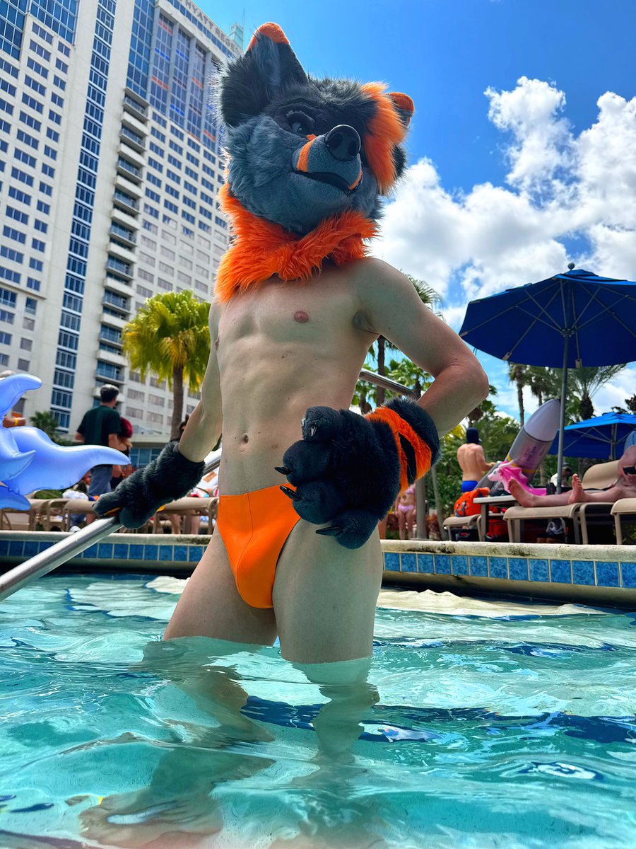 Pulse 🍊✨ tweet media