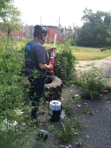 Where do bigger, badder mosquitoes come from? Learn how certain urban environments can be the source. bit.ly/2JoI5k5