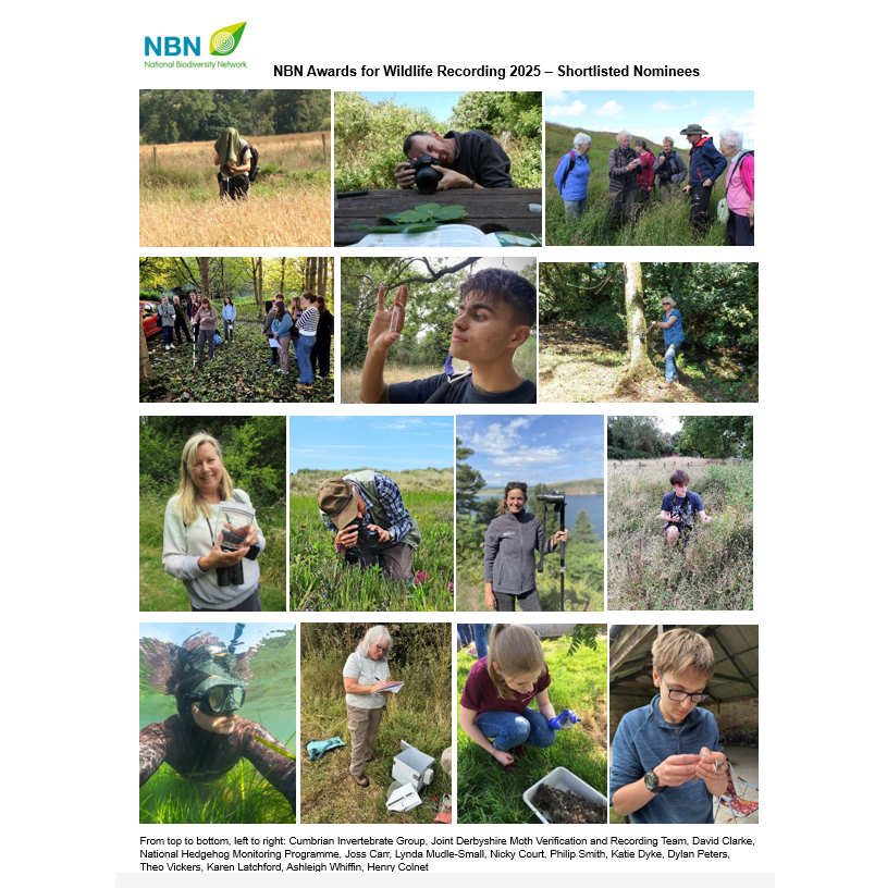 NBNTrust's tweet photo. We’re excited to announce the finalists for NBN Awards for Wildlife Recording 2025! From 45 nominations, 28 incredible individuals and groups have made it to the shortlist across 7 categories. Winners and highly commended will be announced at #NBNconf25  https://t.co/YddD5cxfj4 https://t.co/QrV1BsAOOm
