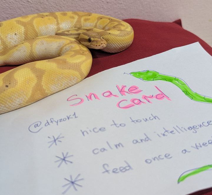 ivanegorov54456's tweet photo. 🐍✨ Utility Card unlocked!
Snake Card:
⭐ Nice to touch
⭐ Calm & intelligent
⭐ Feed once a week
Just like @Monalotls
#Monalotl #UtilityCard
And huge respect to @poply_xyz https://t.co/3xzZX5Qyj6