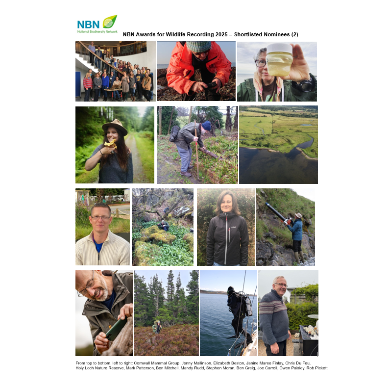 NBNTrust's tweet photo. We’re excited to announce the finalists for NBN Awards for Wildlife Recording 2025! From 45 nominations, 28 incredible individuals and groups have made it to the shortlist across 7 categories. Winners and highly commended will be announced at #NBNconf25  https://t.co/YddD5cxfj4 https://t.co/QrV1BsAOOm