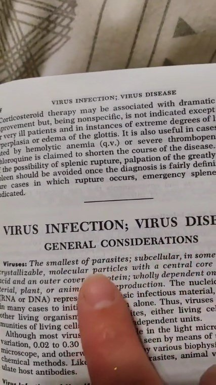 elzorrotacneno's tweet photo. ¿Y por qué la Ivermectina es muy útil para combatir el mal llamado cáncer? 
Sabemos que la Ivermectina fue creada para combatir parásitos.  
Sabemos, también, que, de acuerdo al Manual de Merck, los virus son los parásitos más pequeños. 
Dicho por la ciencia.  Entonces la Ivermectina puede con todos los llamados virus, porque realmente son parásitos mas pequeños.  
Por eso tratan de descontinuar su producción. Pensaban que nunca nos íbamos a enterar que el 90% de las enfermedades son producidas por parásitos.  Ya la gente despertó.  
NO MAS QUIMIOS QUE HACEN QUE EL TUMOR REAPAREZCA MAS AGRESIVO
#Tacna