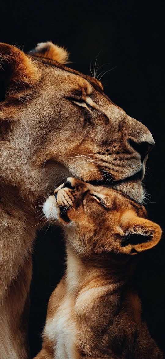 Nul besoin d'écrire un poème, 
Cette image en est un.