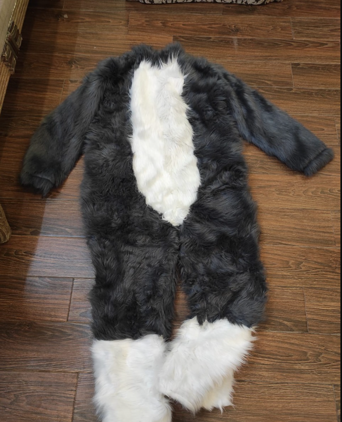 Bringing characters to life is the best part of designing furry art  From sketches to full suits, every detail adds personality and vibes! Always excited to share more of my creations with the community 💜 #furryartist 
 #Fursuit #Furrycommission