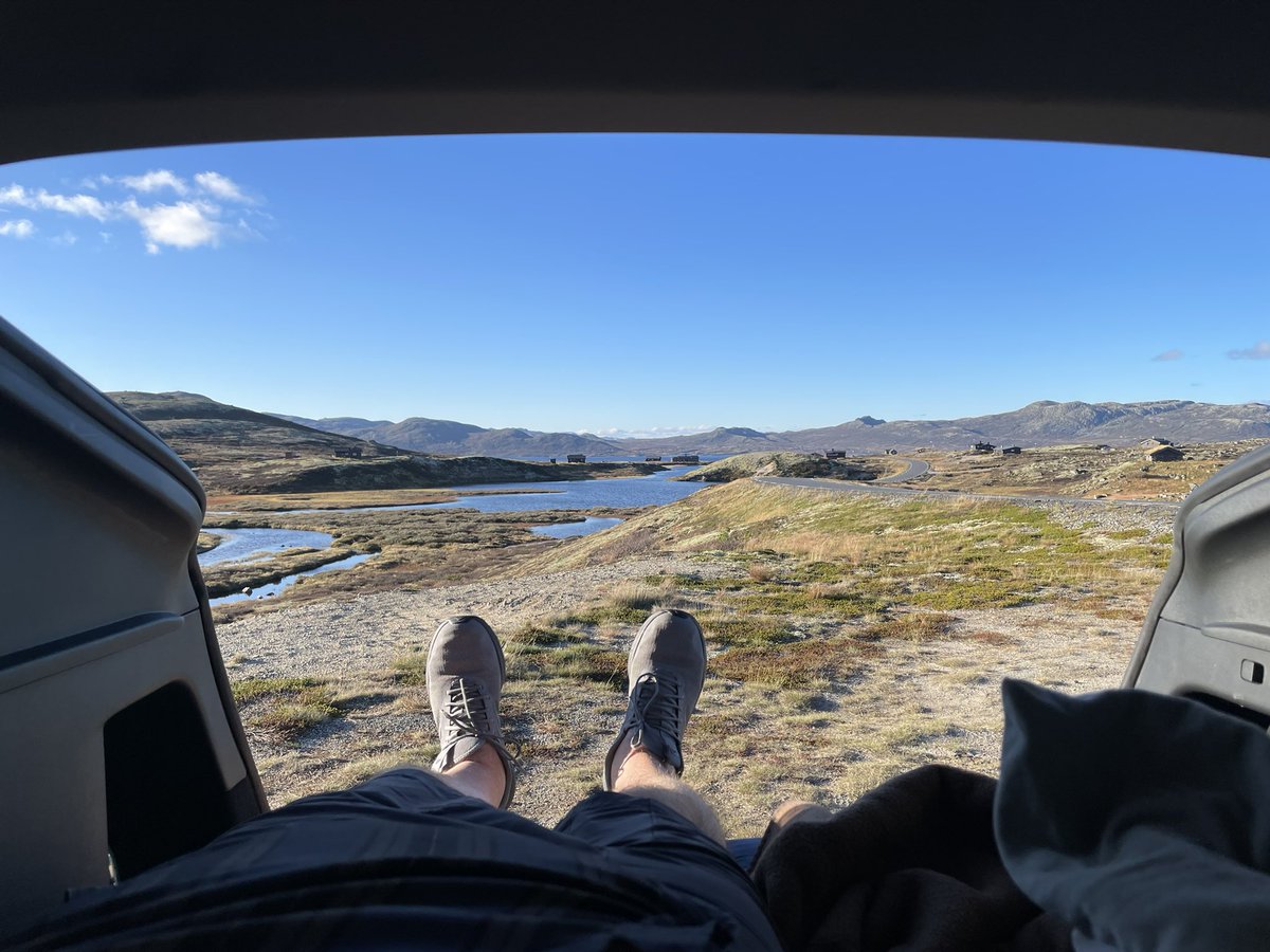 Detlef Heese tweet media