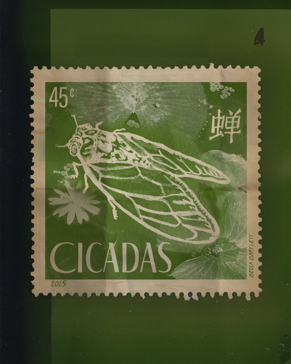 landingcreative tweet media