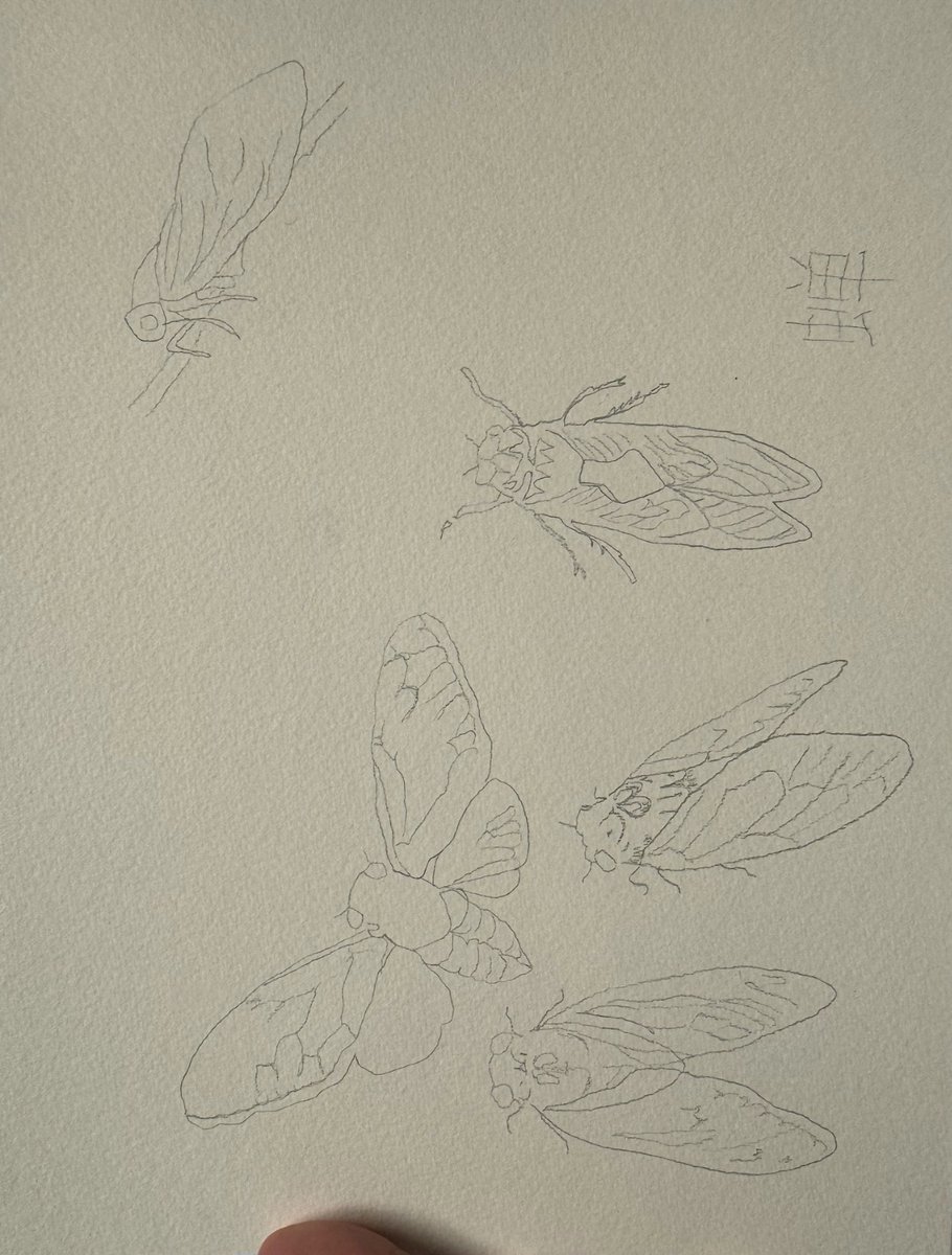 landingcreative tweet media