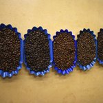 Photo by Roastmasters.com (@roastmasters)