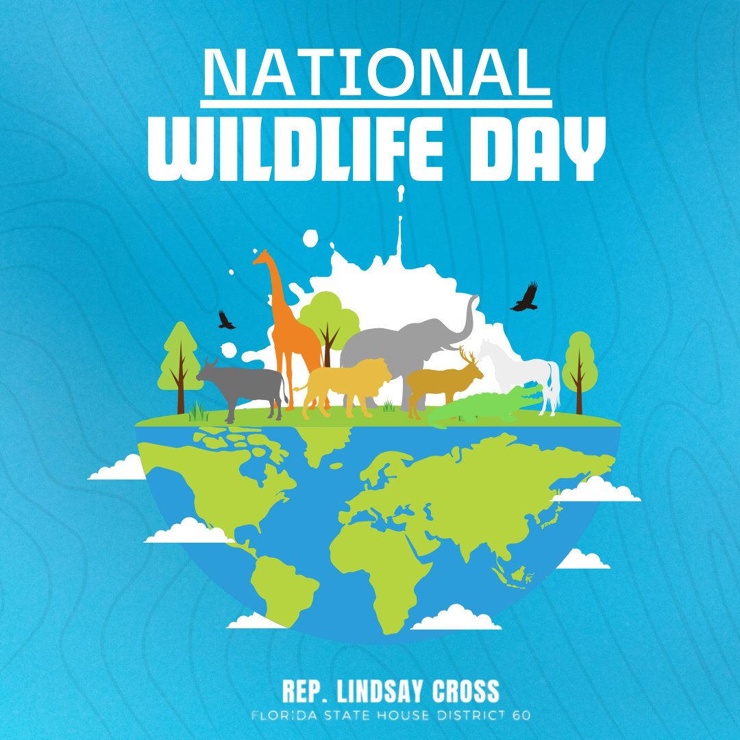 Happy National Wildlife Day! 🐾 Today we celebrate the beautiful complexity of the natural world. It's up to us to conserve wild places for wildlife! 

What are you favorite Florida wildlife species?