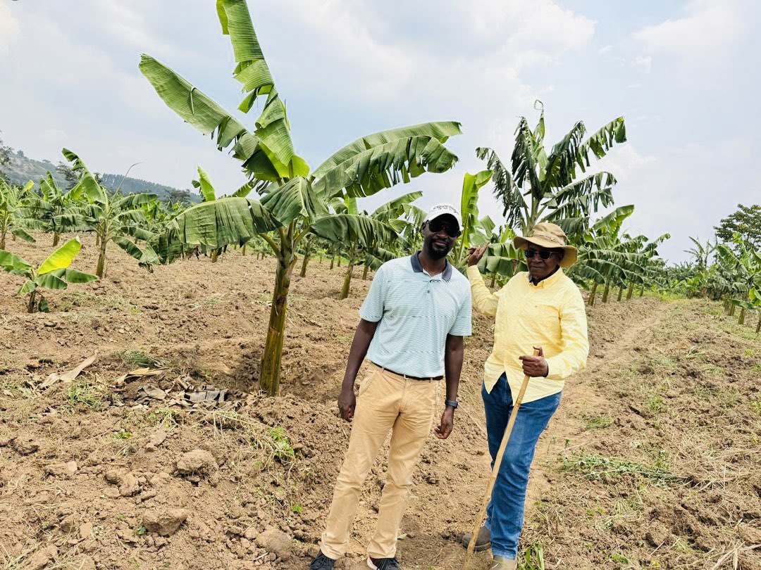 I was privileged to be hosted today by Ndugu Haji Ayub at his Wabiswa Model Farm. Haji Ayub is one of Uganda’s finest dairy breeders. His cows are a marvel, especially when he shares the detailed records of their genealogy. He is a meticulous curator! And the massive gonja