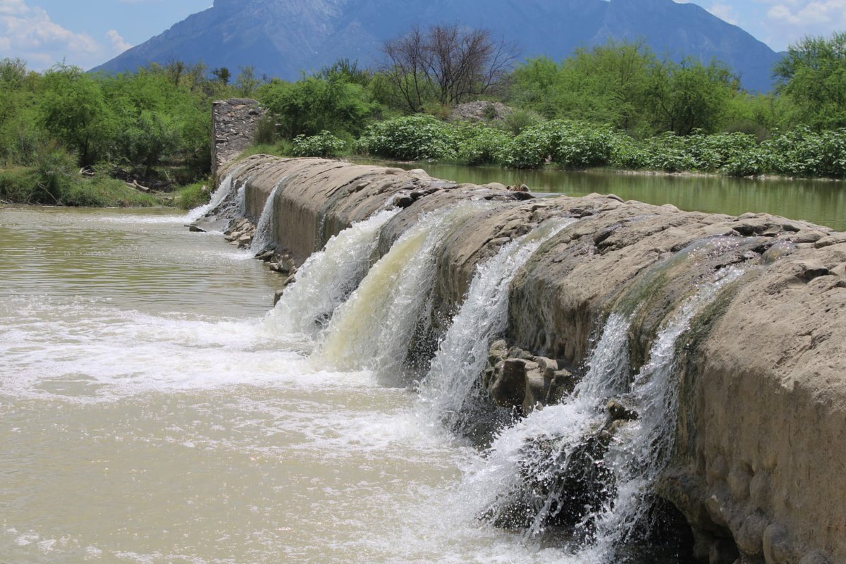🦫📸 ¡Nuevas cámaras trampa en el río Candela, Coahuila!
Así monitoreamos a los castores, guardianes del ecosistema 🌿💧.
Cuidarlos es proteger nuestra naturaleza. 💚
#coahuilapadelante #apasosdegigante
#conservacionambiental #castores #ríocandela