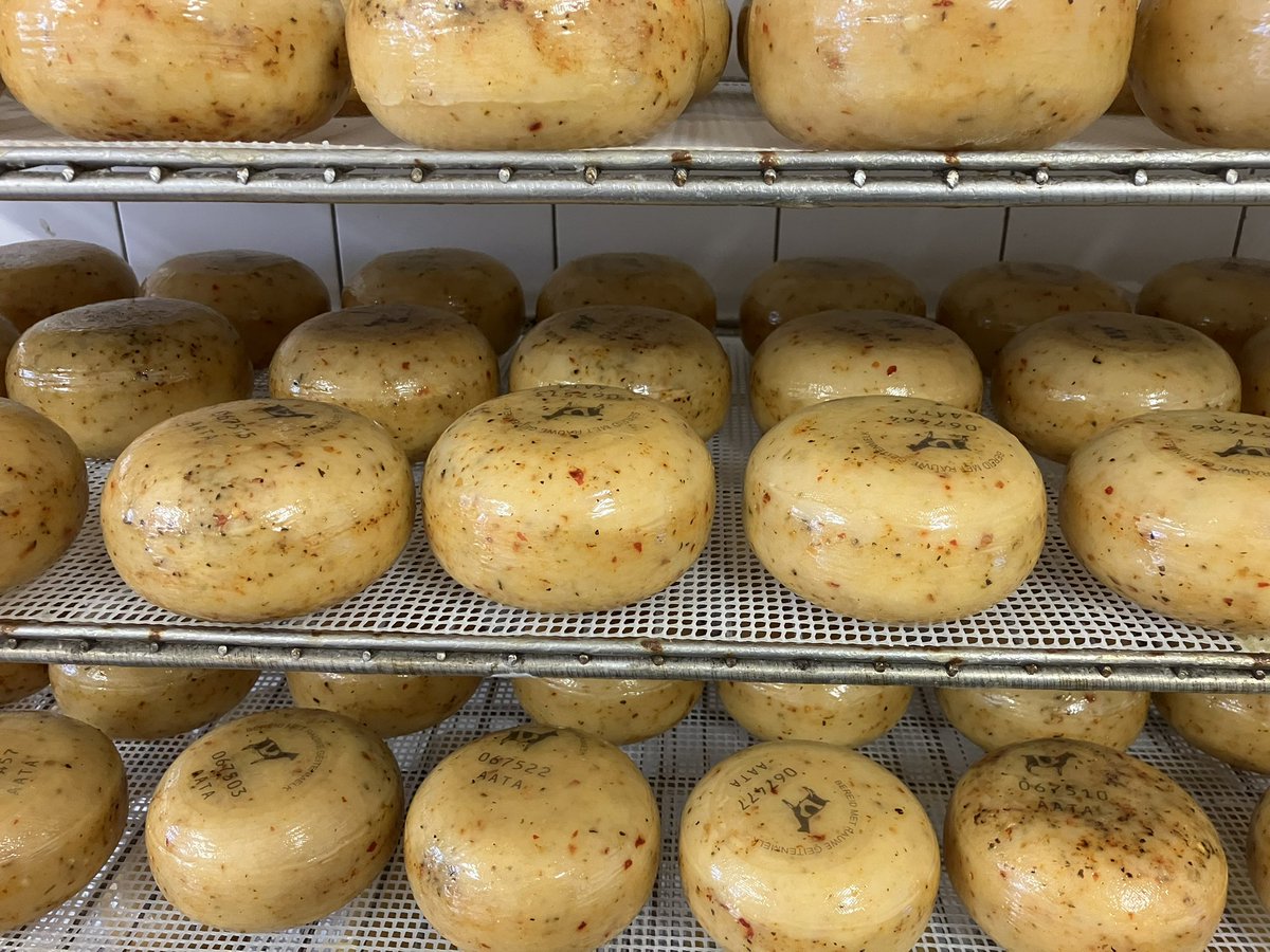Zaterdag 6 en zondag 7 september zijn we te vinden op de boerenversmarkt   #geitenkaas 🐐🧀