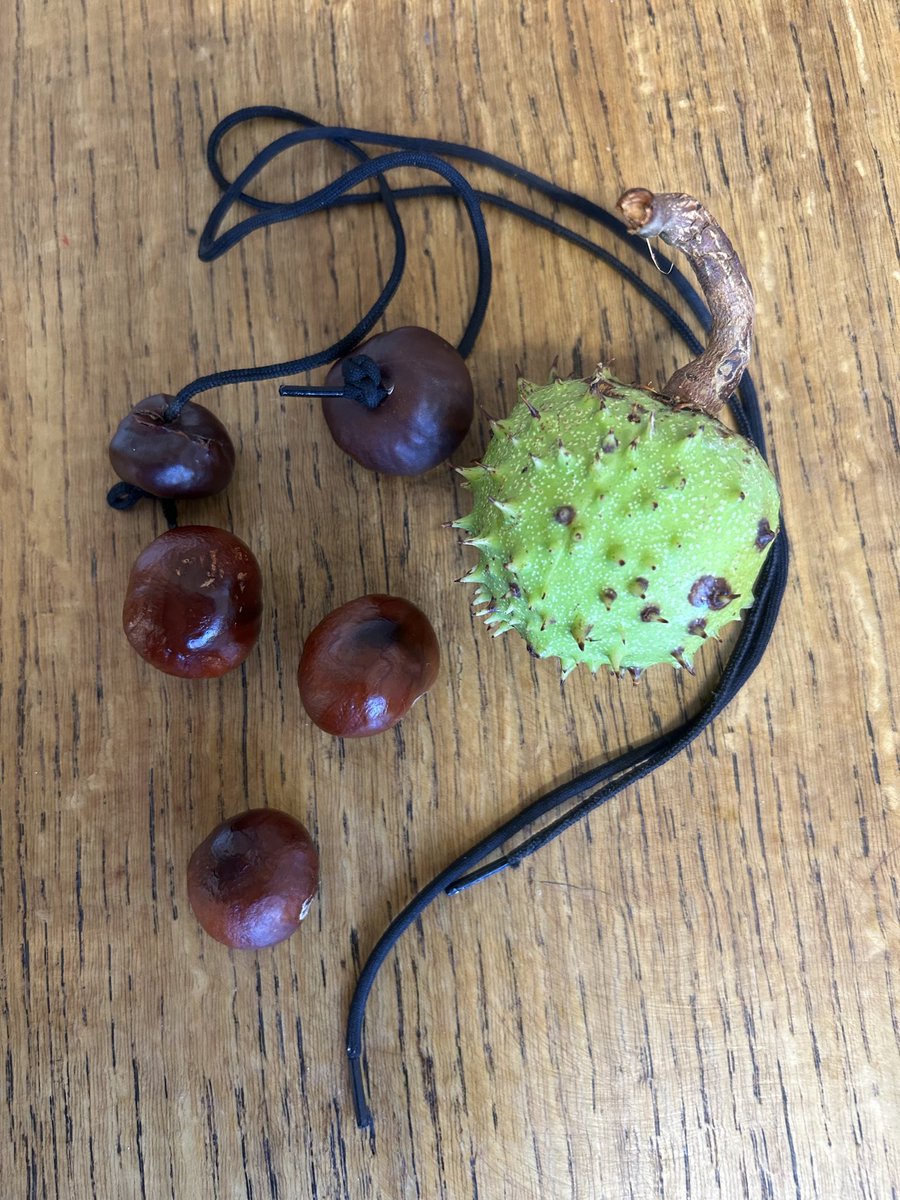 #Conker season is upon us

Vinegar?
Baked in the oven?
Left for a year?

What’s the best way of creating an unbeatable conker ? 🌰