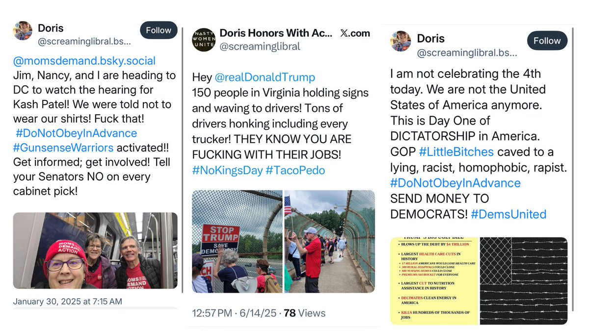 <a href="/DataRepublican/">DataRepublican (small r)</a> <a href="/thestustustudio/">Stu Smith</a> <a href="/NoVA_Campaigns/">NOVA Campaigns</a> <a href="/data_republican/">MOMof DataRepublican</a> <a href="/JGunlock/">Julie Gunlock</a> <a href="/carriesheffield/">Carrie Sheffield</a> <a href="/carrielukas/">Carrie Lukas</a> <a href="/FairfaxDems/">Fairfax Democrats</a> <a href="/PolitiBunny/">The🐰FOO</a> <a href="/MomsDemand/">Moms Demand Action</a> <a href="/Everytown/">Everytown</a> <a href="/DNC/">Democratic Party</a> <a href="/virginiadems/">Virginia Democrats</a> <a href="/FairfaxTimes/">Fairfax County Times</a> 5/ Study her social media and you see that Sign Thief Lady is also a professional protestor, a fixture at the #HandsOff #NoKings protests this year against <a href="/realDonaldTrump/">Donald J. Trump</a> and <a href="/elonmusk/">Elon Musk</a>. She swears like a sailor about "#LittleBitches," "FUCKING" this and "Fuck that." On and on.