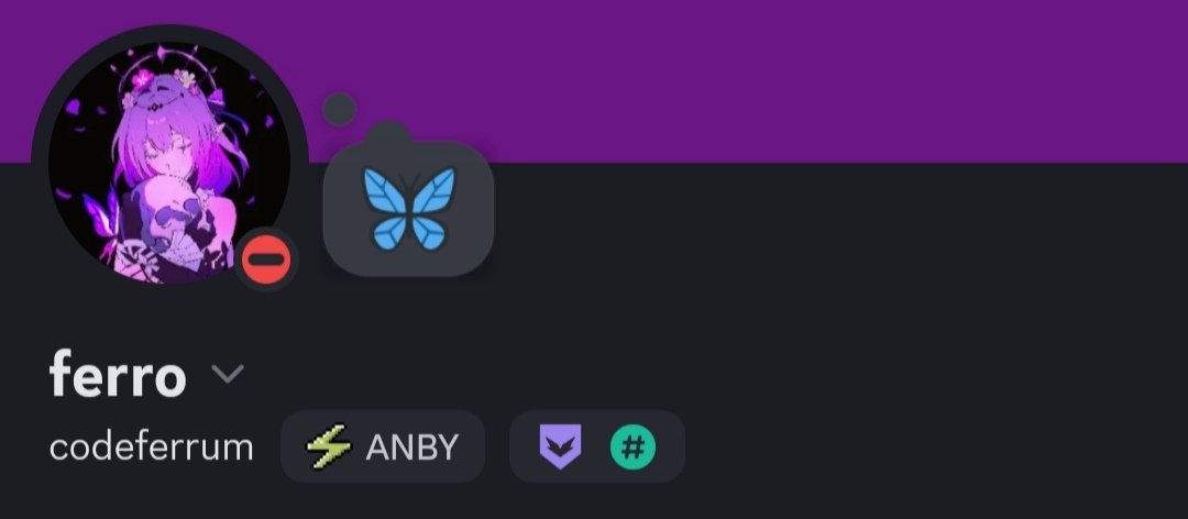 CodeFerrum's tweet image. this is my discord in case things go more wrong than i think