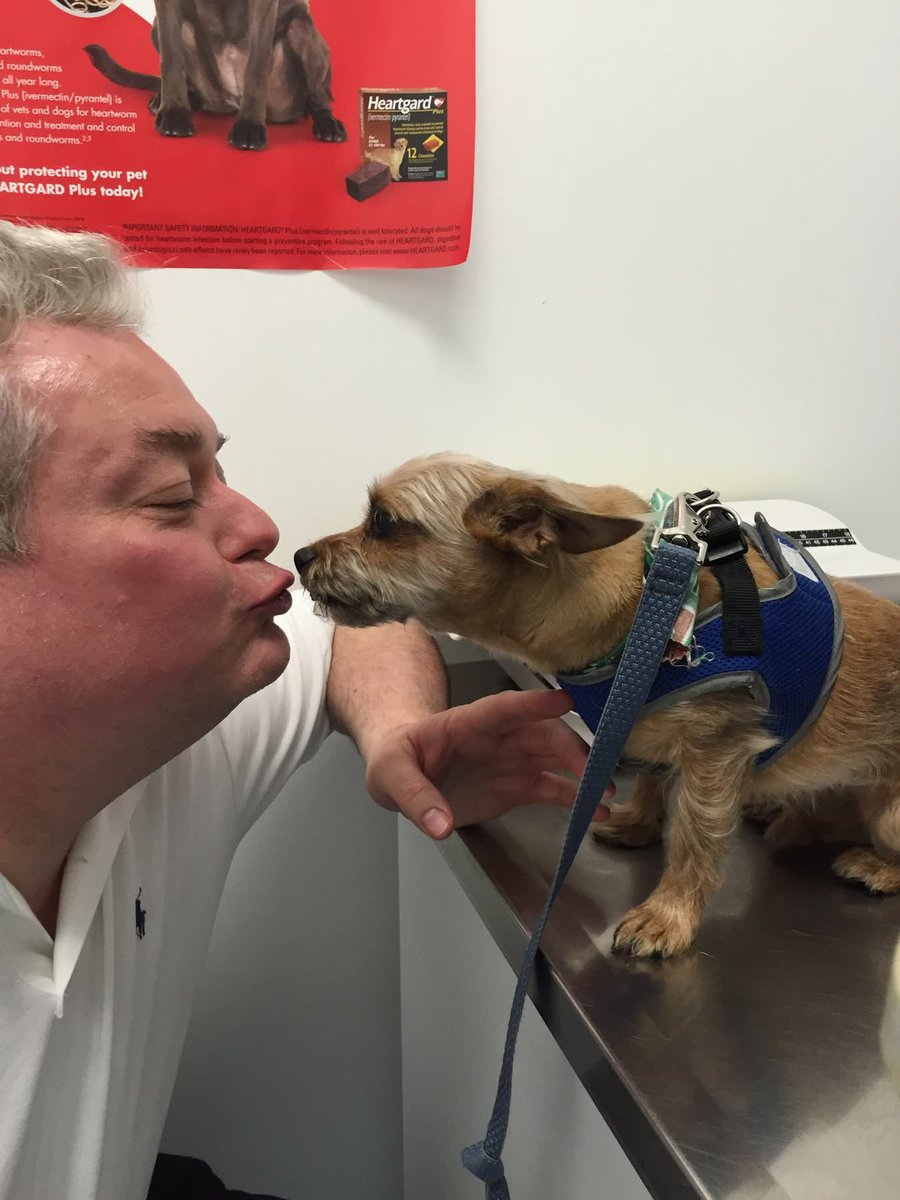 He was a genuine angel!!! Thank you Frankie for providing us with numerous happy memories!!!