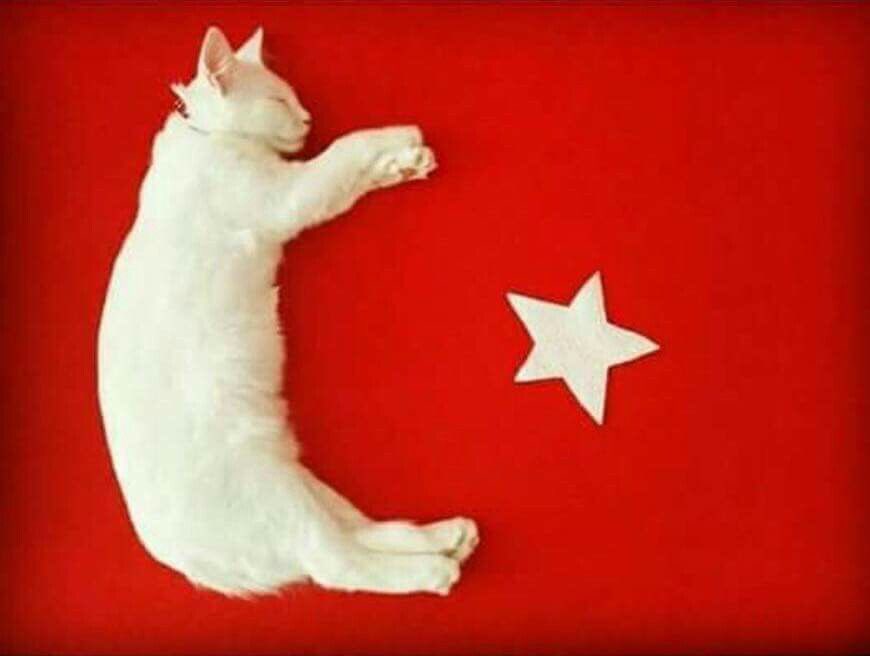 Kieślowski (@faustpazarligi) on Twitter photo 