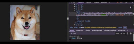Did you know <a href="/VitalikButerin/">vitalik.eth</a> once referenced $TAIKI on his personal blog?

Our dog was featured in his "On Radical Markets" article in 2018 vitalik.eth.limo

$TAIKI is the true OG.