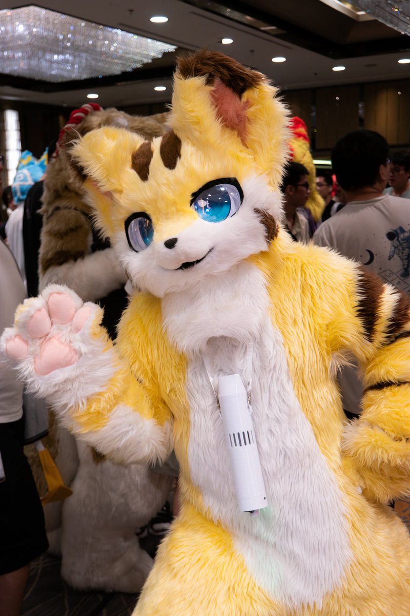 👋🐱
📷：<a href="/KatsiyNya/">喀希Katsiy</a>