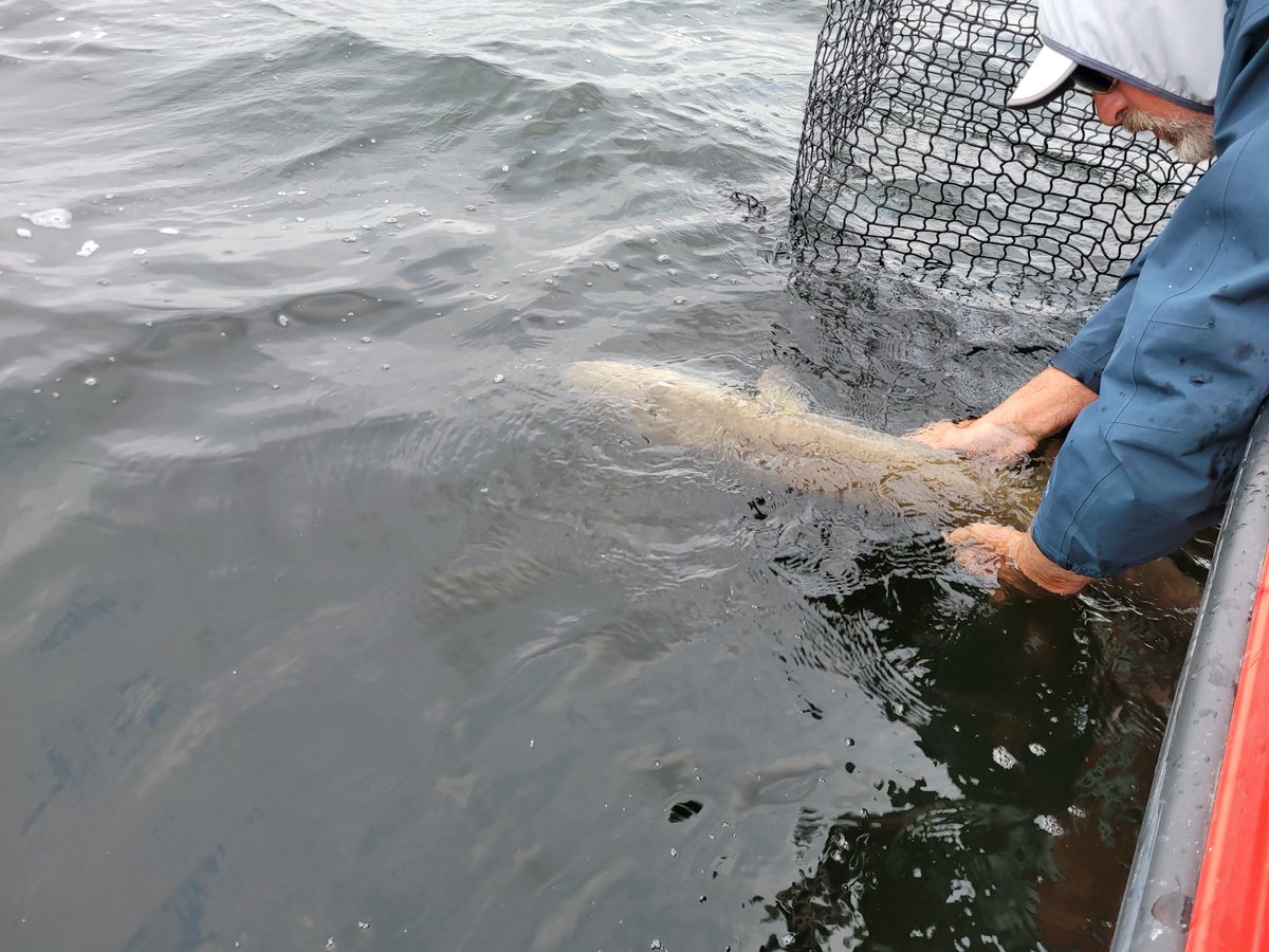 Pete Maina tweet media