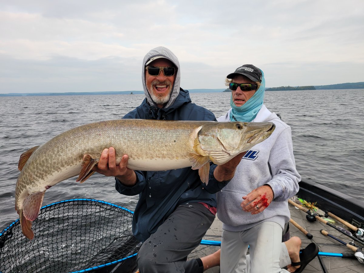 Pete Maina tweet media