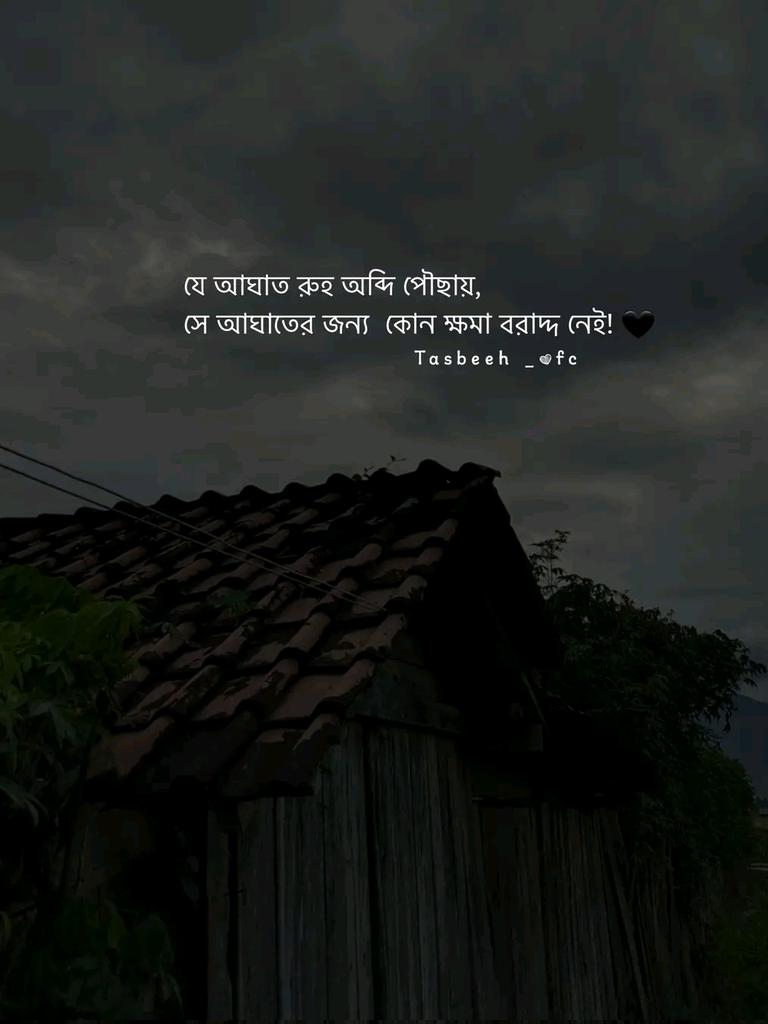কোন ক্ষমা নেই...