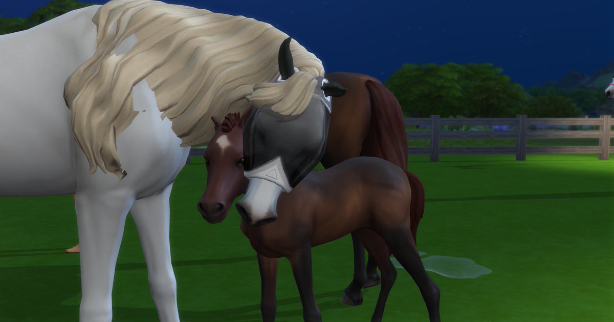 Eveaxia's tweet photo. Taken moments before my game crashed. Thunder's life was too short ⛈️ lol. If I re-open it, Mama will just be expecting again anyway, lol #TheSims4 #Horses #Sims4Horses https://t.co/Ox8Db58urC