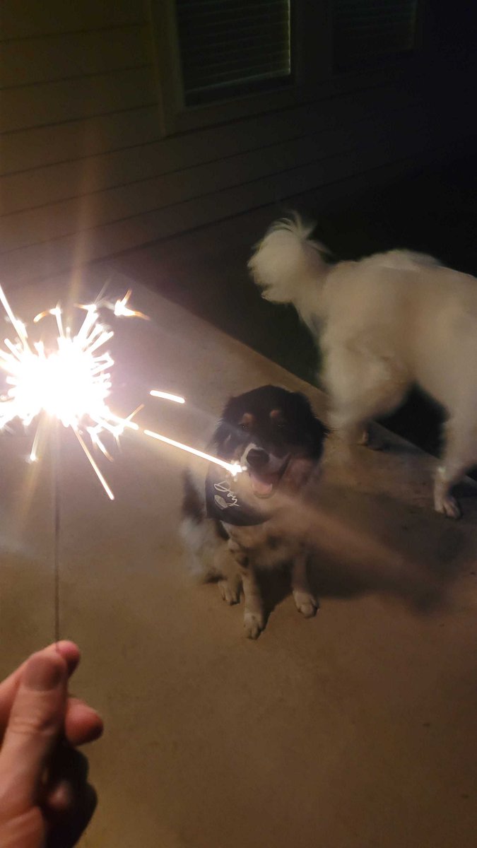 Matthew J. Fahey tweet media