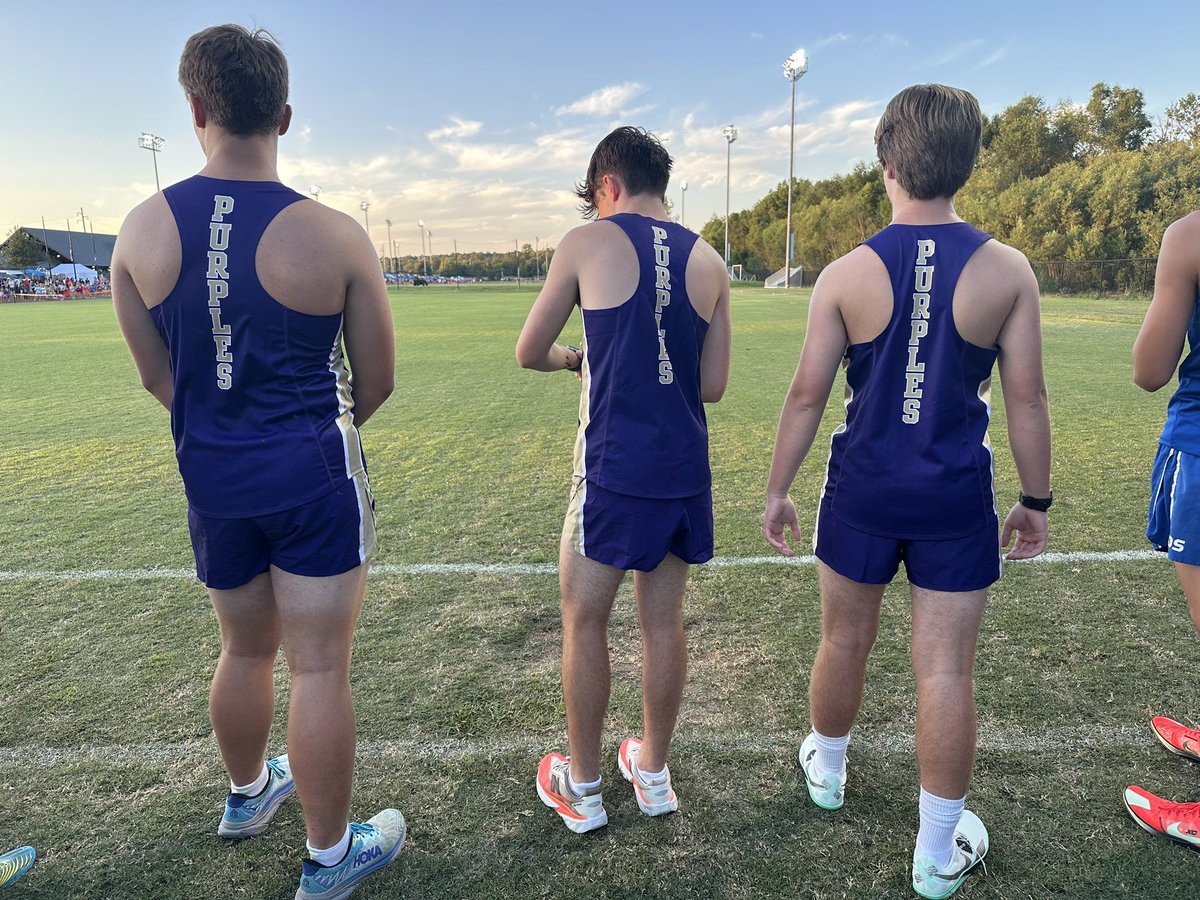 Purple Striders tweet media