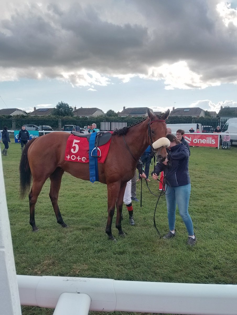 JoeSeward1's tweet image. The opening race here @Laytown_Races Tote.ie Claiming Race goes to LISMACBRYAN HILL 6/1 under a positive ride from 
@ctkjockey for Cavan trainer Patrick Magee.
Nice run at Naas recently.
#Laytown 
#LaytownBeach 
#Laytown2025